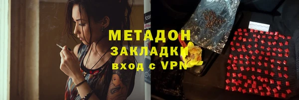 сатива Козловка