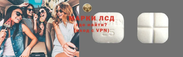 сатива Костерёво