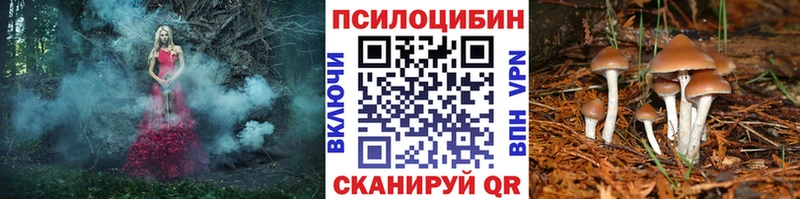 Галлюциногенные грибы Psilocybine cubensis  KRAKEN сайт  Михайловка 